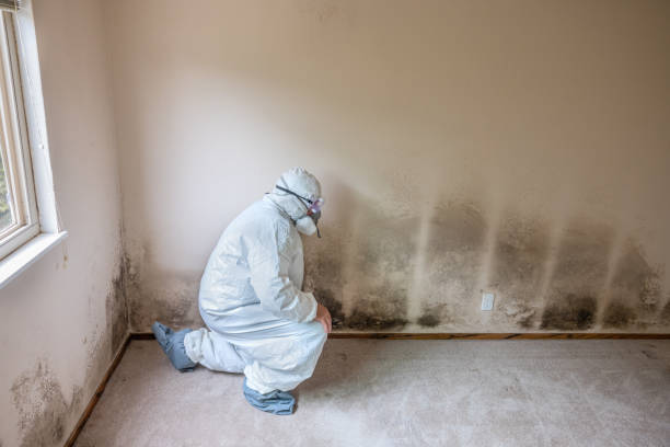 Best Commercial Mold Inspection  in , WI